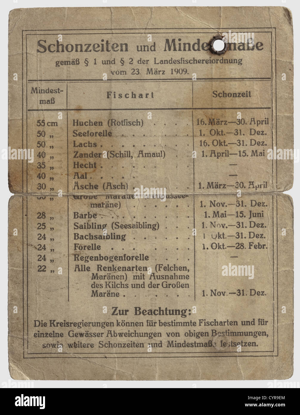Heinrich Himmler, ein Angelschein 1939 Rechteckiger Führerschein auf gelbem Karton.die vorgedruckte Form, die handschriftlich in Tinte ausgefüllt wurde,ausgestellt für Herrn Heinrich Himmler,Reichsführer SS u. Chef d.D.D.D.D., Polizei - Gmund',Miesbach,datiert 14.4.39.gestempelte Fotografie in Uniform mit Mütze.Originalunterschrift Himmlers in Tinte sowie Unterschrift eines Verwaltungsbeamten,auch in Tinte.auf der Rückseite Bedruckter Tisch über die nahen Jahreszeiten und Mindestmaße der regionalen Süßwasserfische.in der Mitte gefaltet,an der Falte leicht eingerissen,die Ränder mit mino,Additional-Rights-Clearences-nicht vorhanden Stockfoto