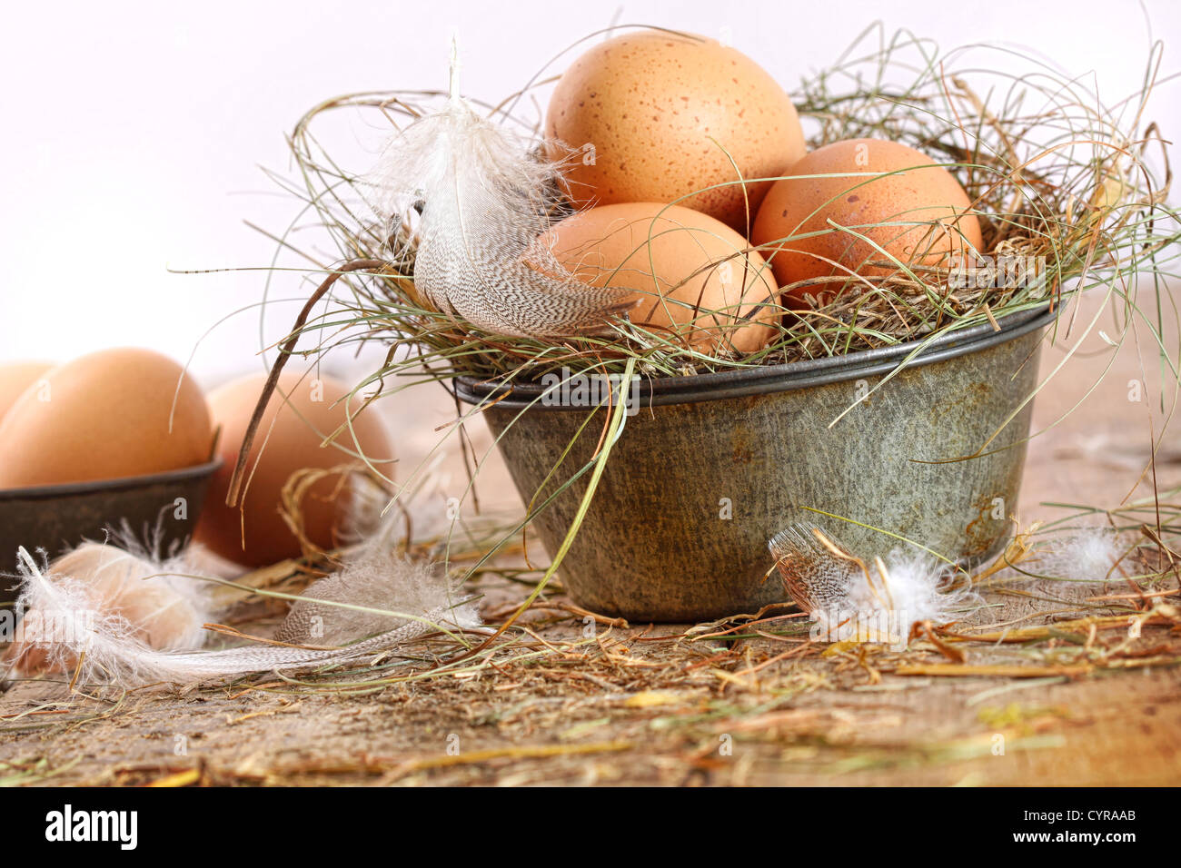 Braunen Eiern in alten Weissblech mit Federn und Stroh Stockfoto