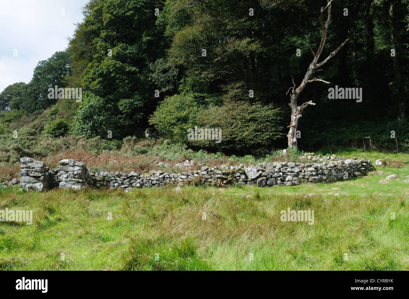 Alten Tiergehege bei St Cybis gut Llangybi Gwynedd Wales Cymru UK GB Stockfoto