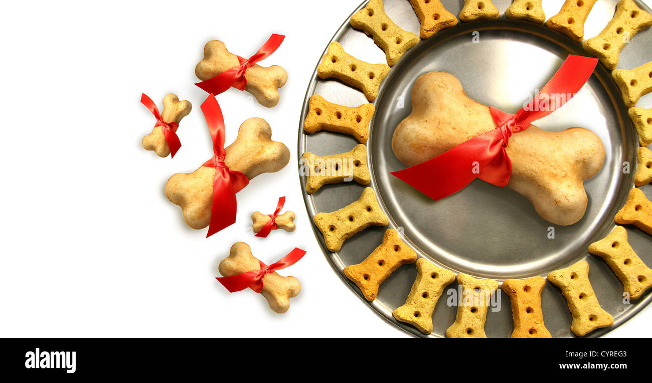 Doggy Kekse für Weihnachten vor weißem Hintergrund Stockfoto