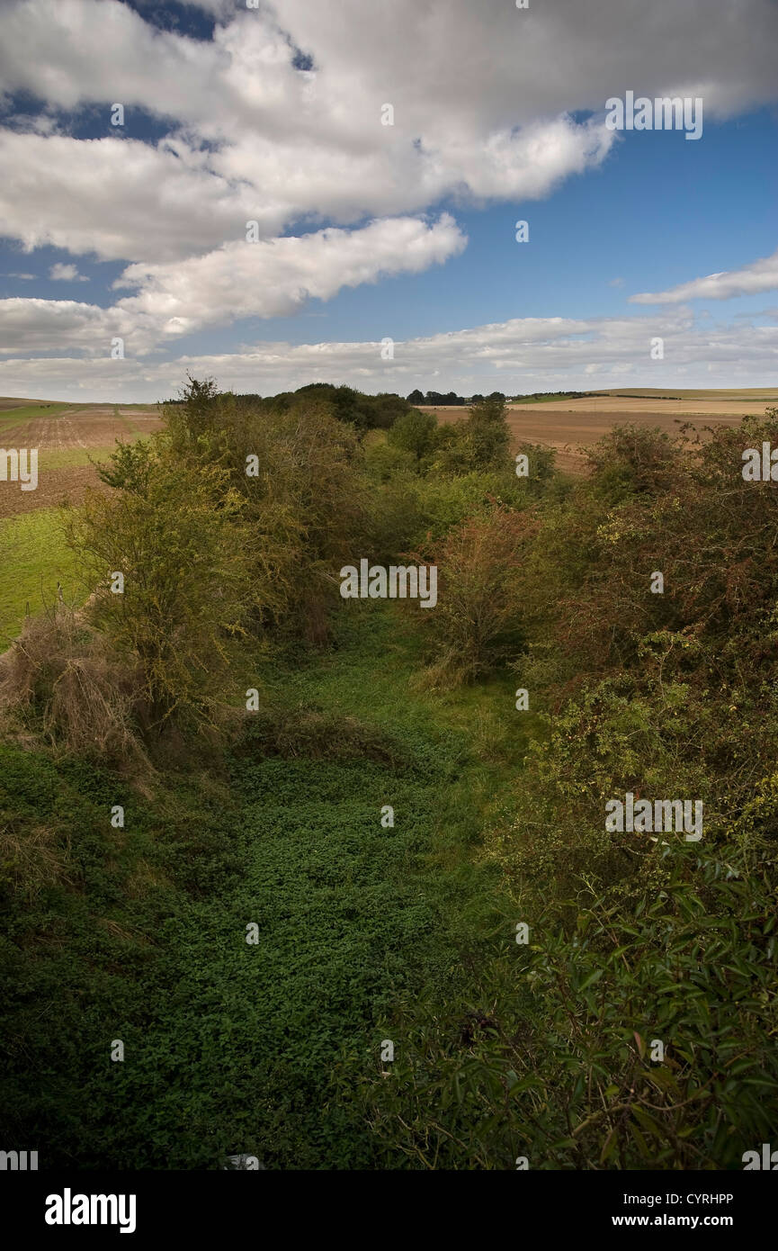 Die stillgelegten Eisenbahnstrecke zwischen Southampton und Didcot Überquerung der Ridgeway National Trail in der Nähe von Compton, Oxfordshire, Vereinigtes Königreich Stockfoto