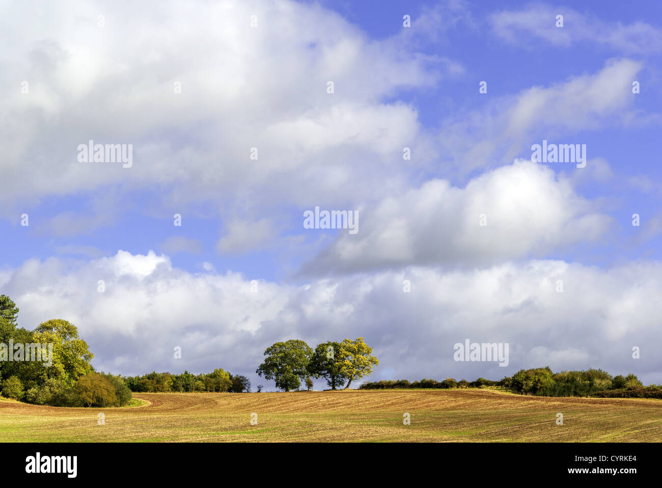 klassische englische Landschaft England uk Stockfoto