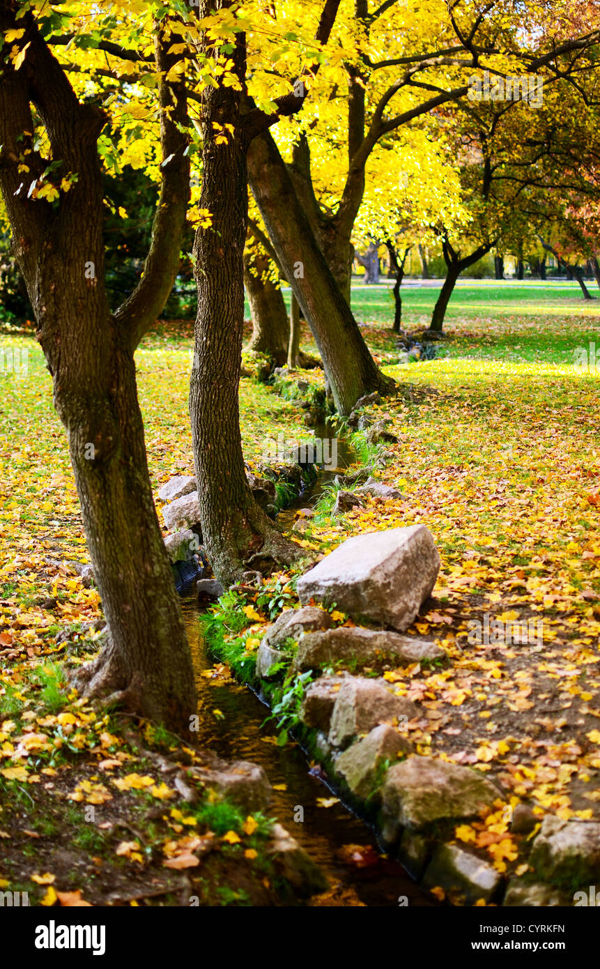 Herbstlichen Wald und Bach Stockfoto