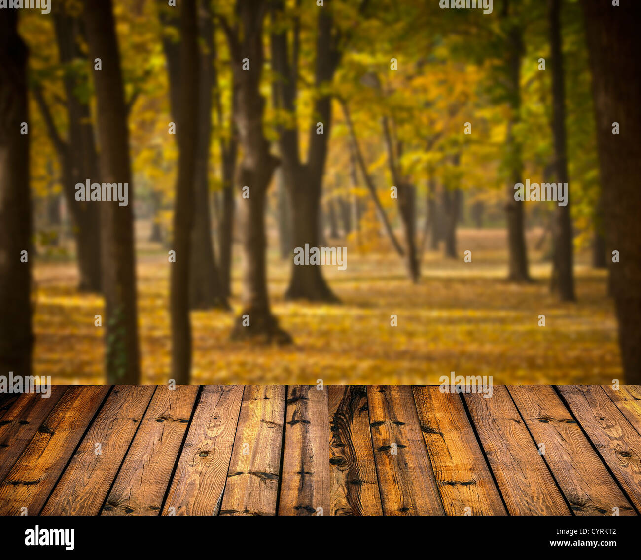 Herbstlichen Wald und Holzboden Stockfoto