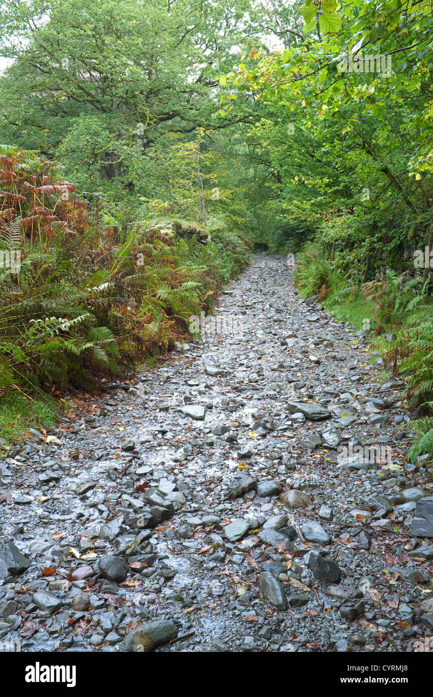 Eine Seenplatte grüne Gasse (Boot), Lake District National Park Cumbria, England, UK Stockfoto