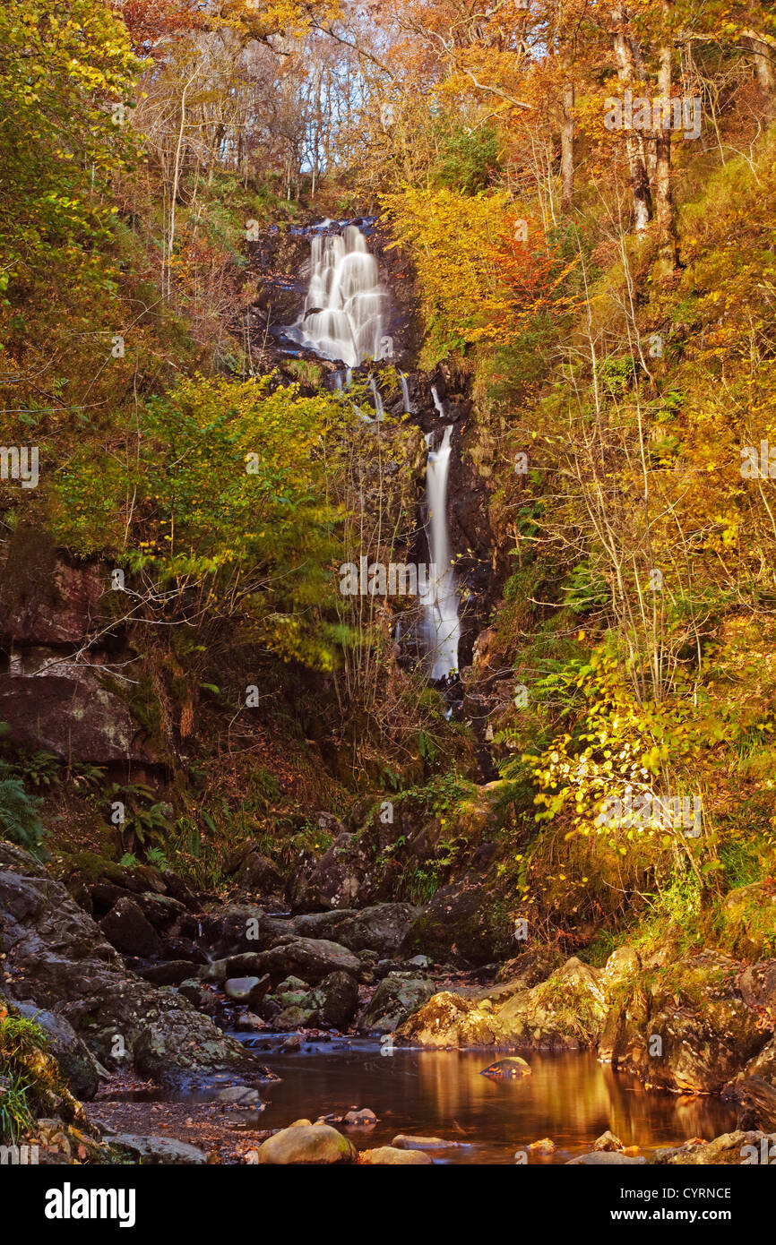 Wasserfall von der kleinen Fawn, David Marshall Lodge in der Nähe von Aberfoyle Stockfoto