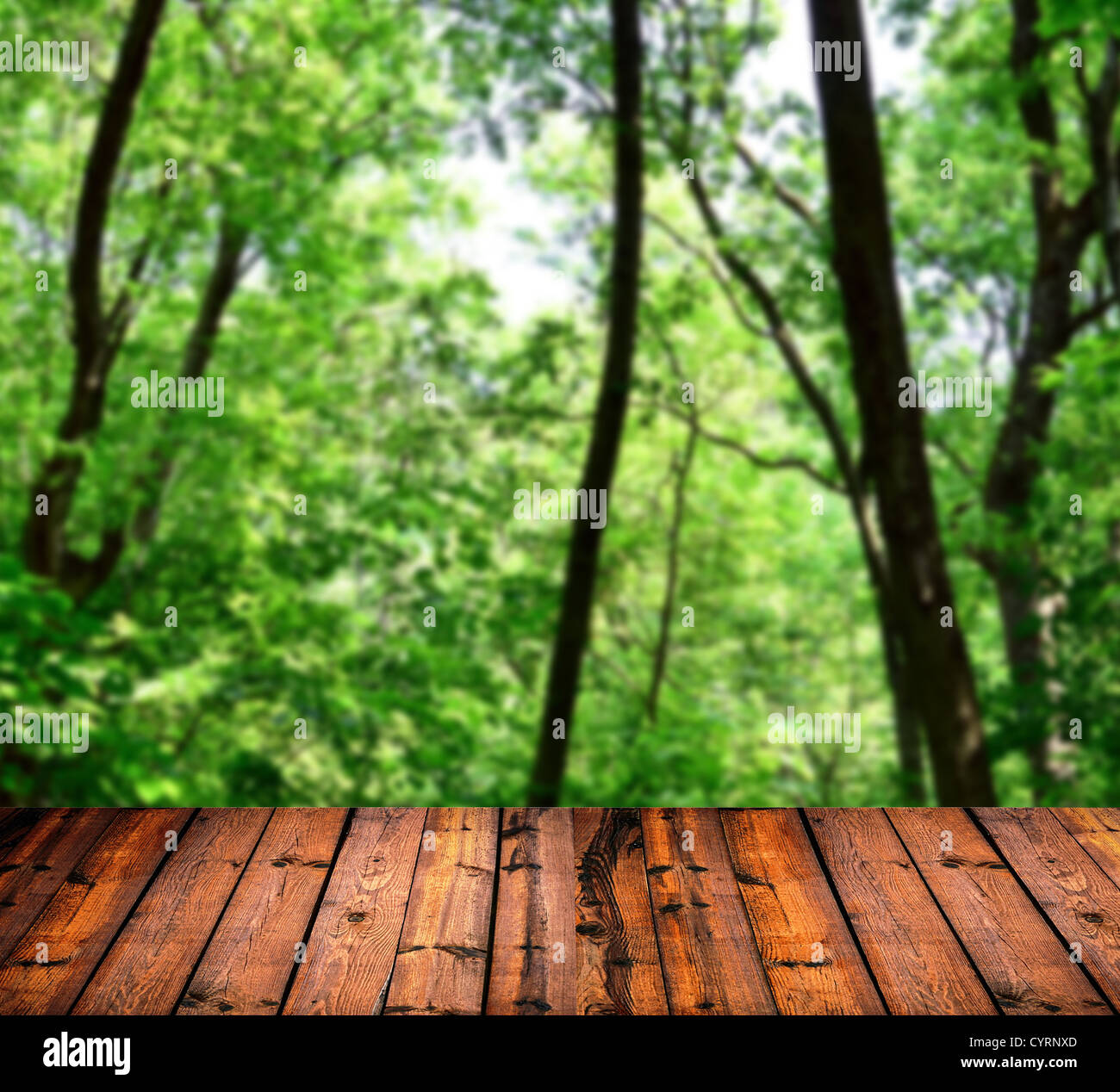 Schönen grünen Wald mit Holzbohlen Boden Stockfoto
