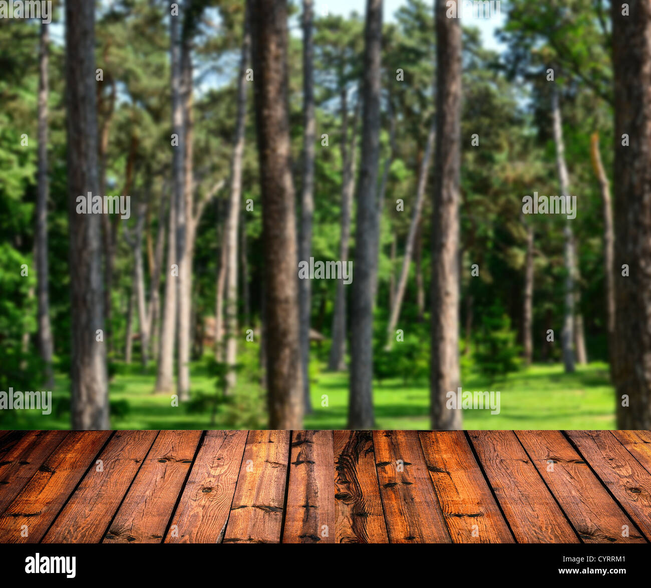 Grünen Wald und Holzbohlen Boden Hintergrund Stockfoto