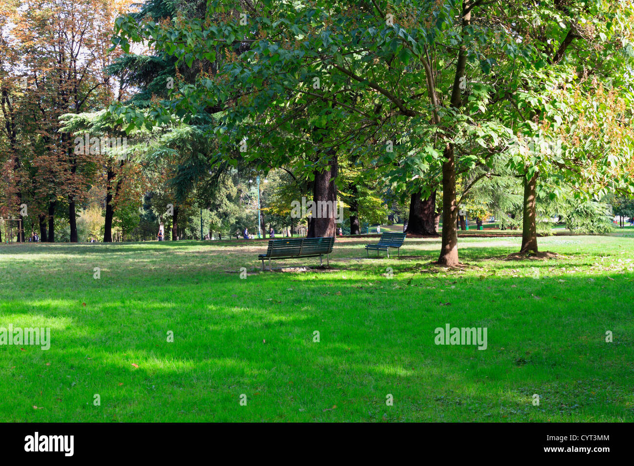 Bänke unter Bäumen im Parco Sempione in Herbst, Mailand, Italien, Europa. Stockfoto