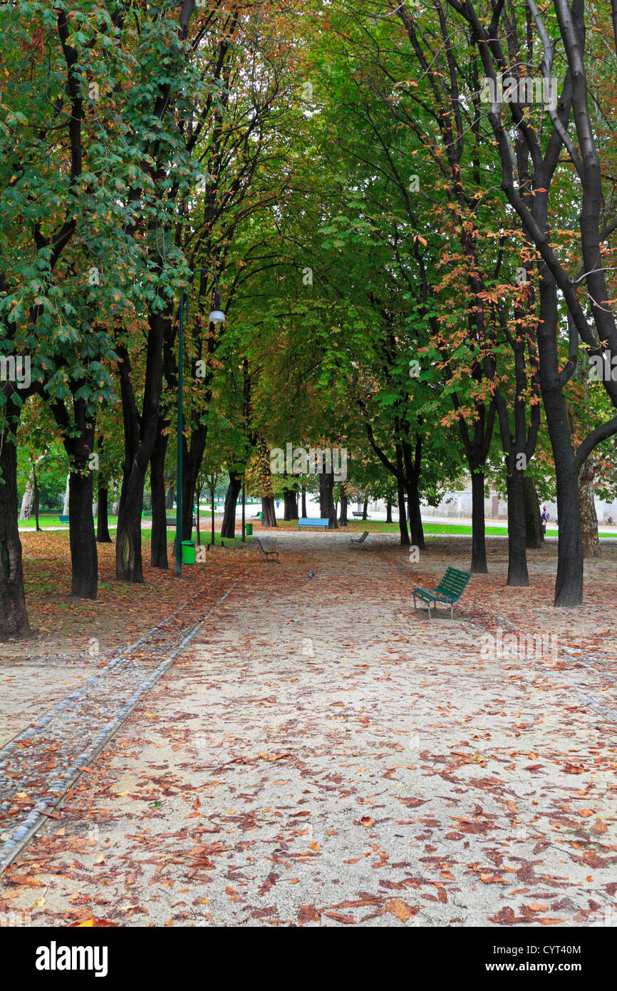 Einer von Bäumen gesäumten Weg durch Parco Sempione in Herbst, Mailand, Italien, Europa. Stockfoto