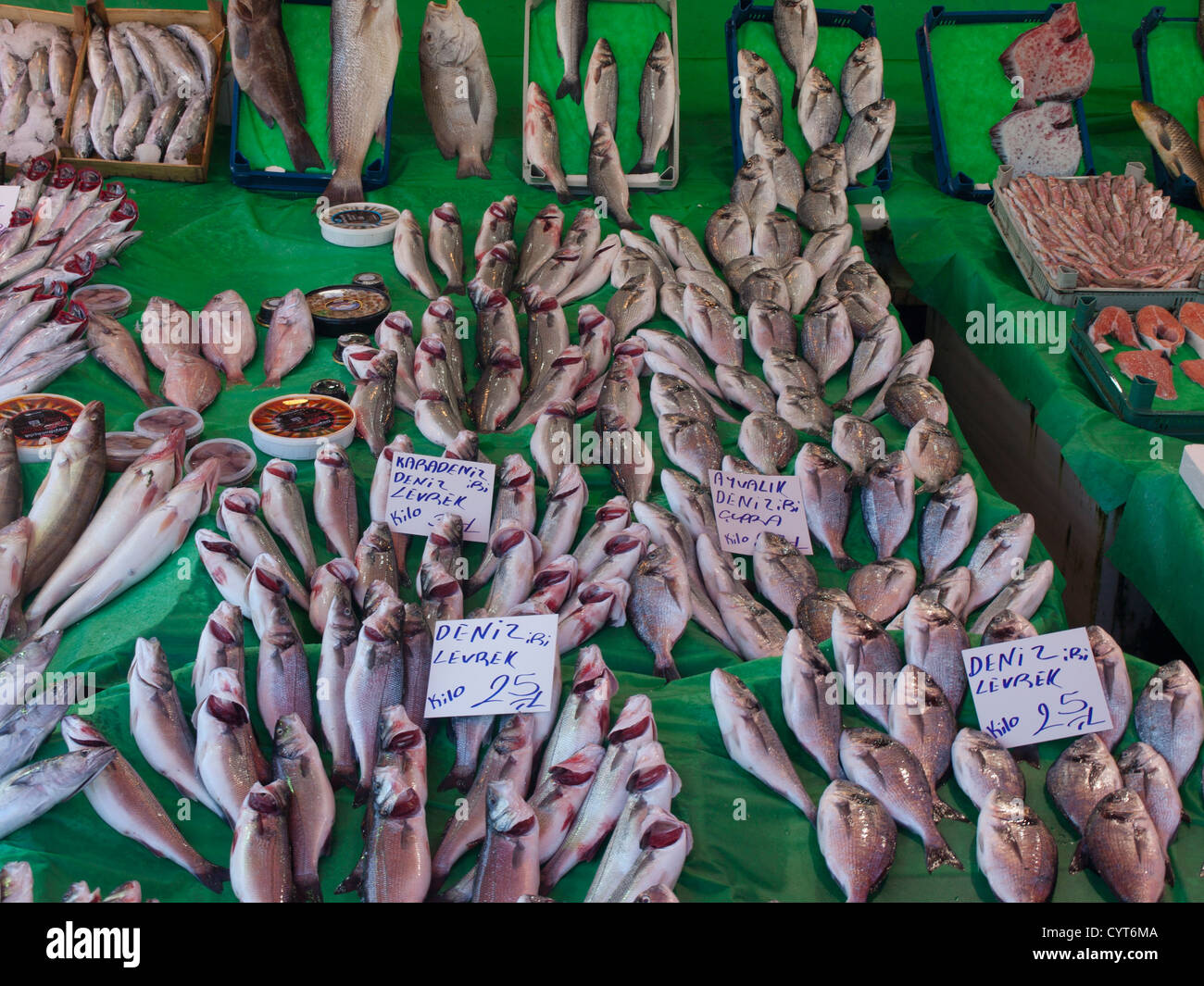 Morgen Fischmarkt in Kumkapi-Istanbul-Türkei, Fisch frisch direkt von den Booten Stockfoto