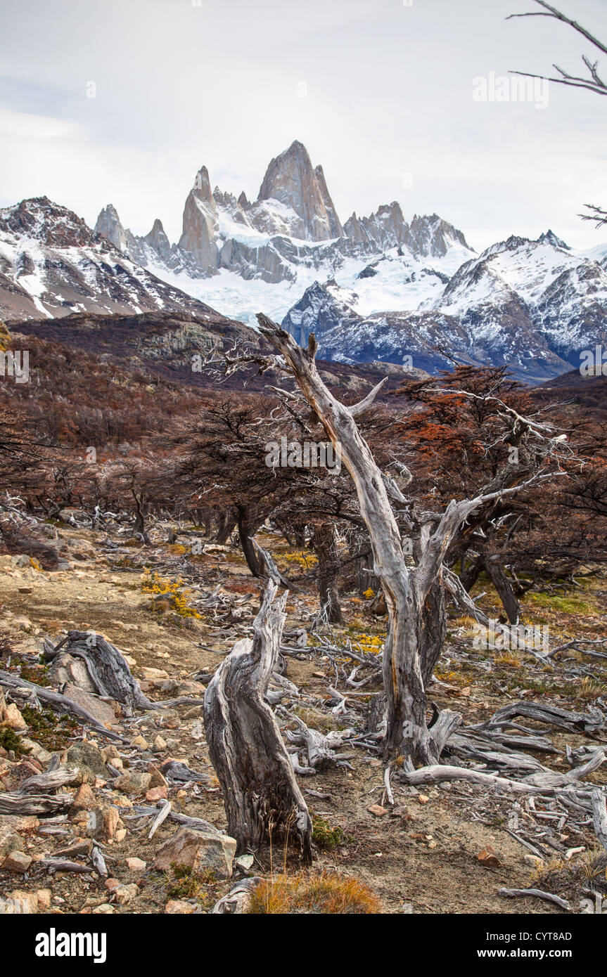 Ein Blick auf Mount Fitz Roy in Patagonien, Argentinien Stockfoto