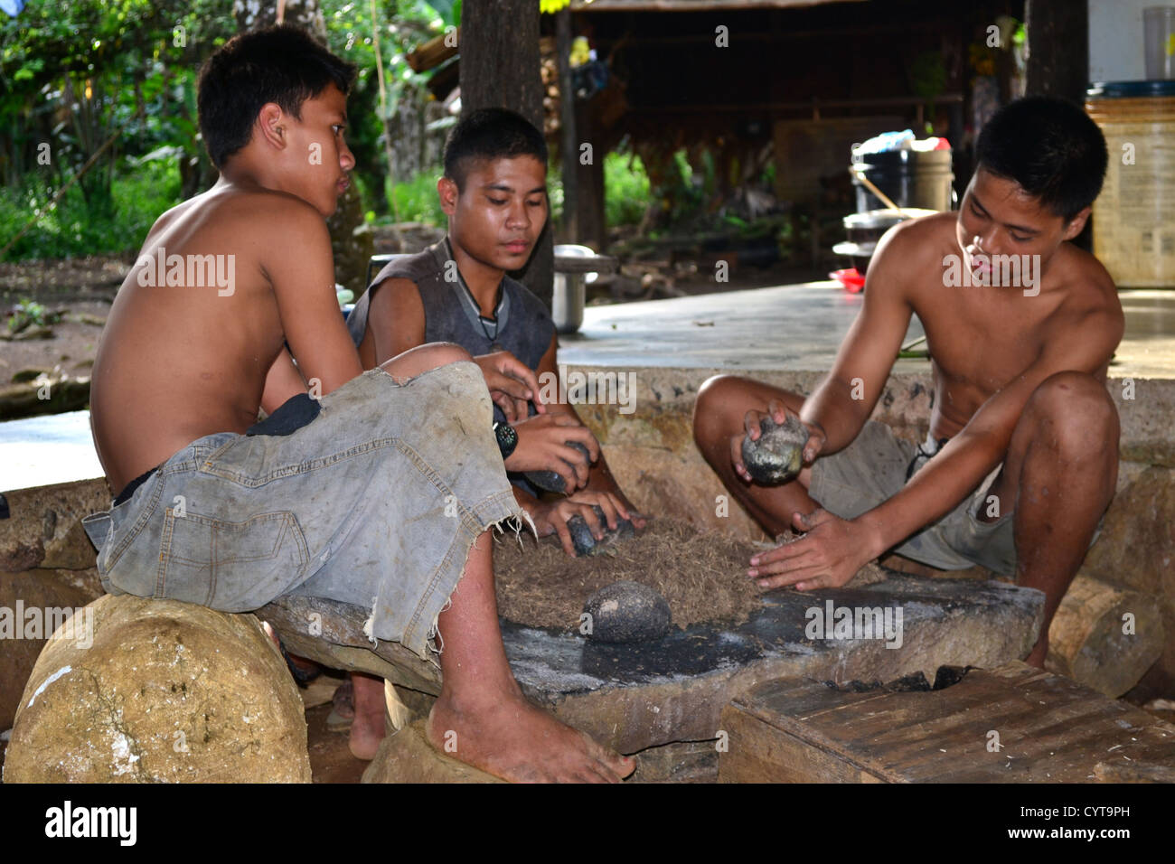 Vorbereitung von kümmern, traditionellen mikronesischen Getränk, Madolenihmw Provinz, Pohnpei, Föderierte Staaten von Mikronesien Stockfoto