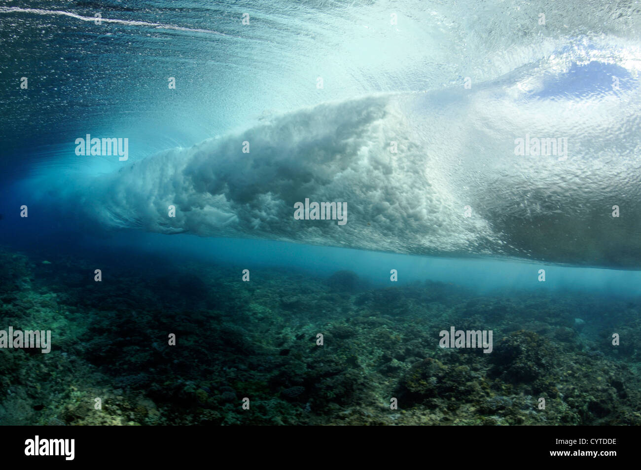 Welle bricht am Riff, gesehen von unterhalb der Oberfläche Palikir Pass, Pohnpei, Föderierte Staaten von Mikronesien Stockfoto