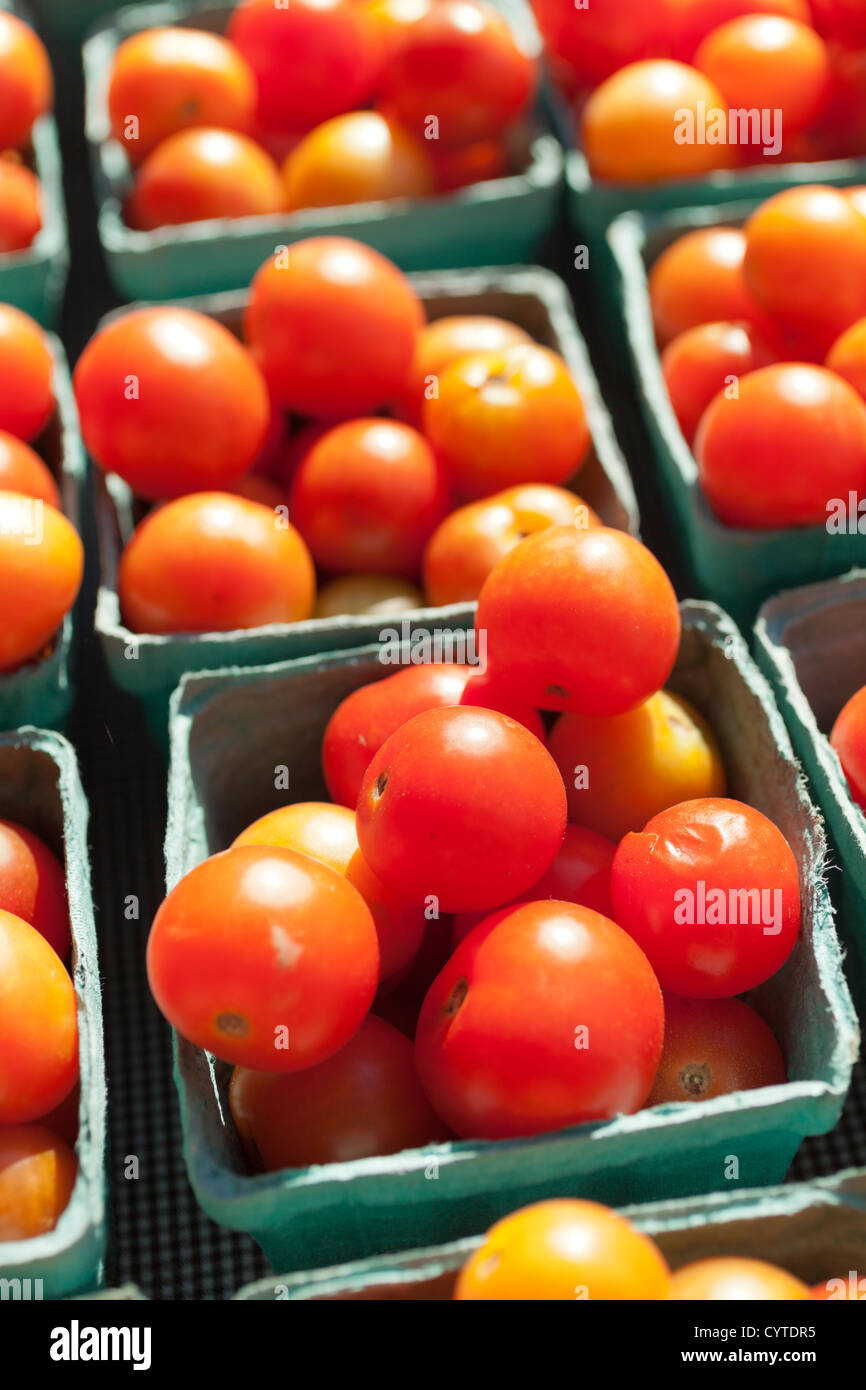 Körbe mit Cherry-Tomaten auf einem Bauernmarkt, New York City, New York Stockfoto