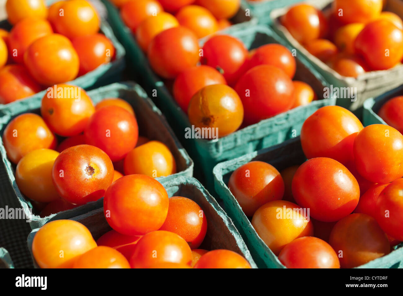 Körbe mit Cherry-Tomaten auf einem Bauernmarkt, New York City, New York Stockfoto