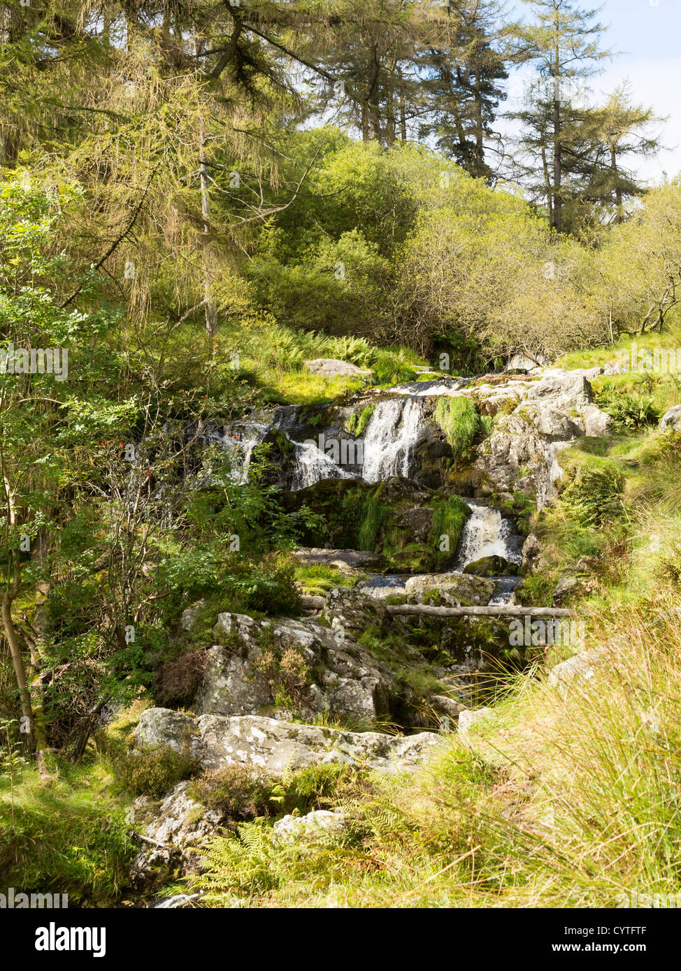 Kleine Wasserfälle und Kaskaden an Spitze der Pistyll Rhaeadr verliebt sich in Wales Stockfoto