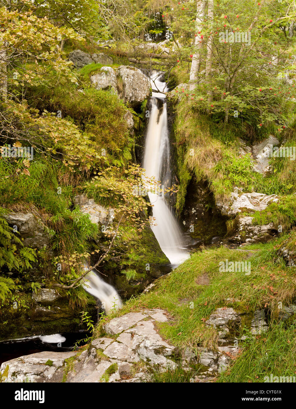 Kleine Wasserfälle und Kaskaden an Spitze der Pistyll Rhaeadr verliebt sich in Wales Stockfoto
