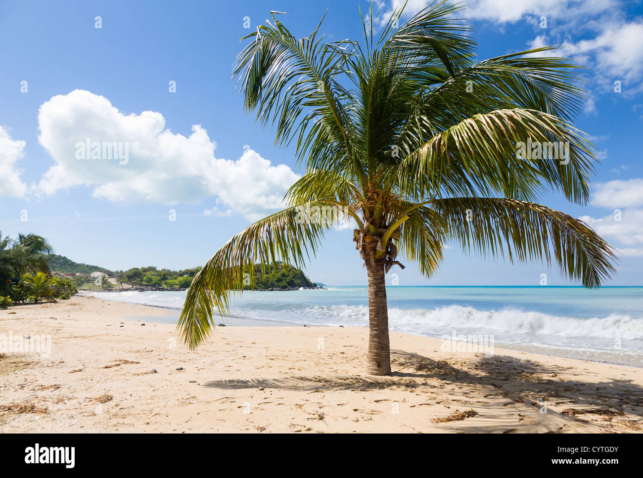 Tropischer Strand auf Saint Martin / Saint Maarten, tropische Karibikinsel: Landzunge vor der Friar's Bay mit Palmen Stockfoto