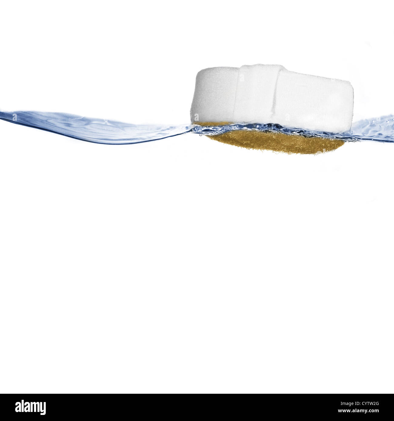 Schwamm auf knackig klare Wasser gegen weiß. Stockfoto