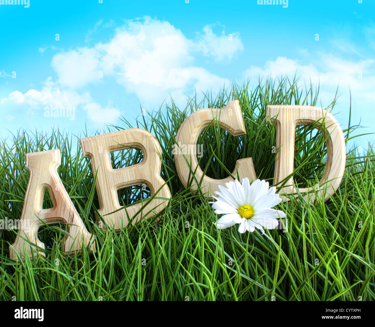 ABC Buchstaben mit Daisy in hohe Gräser Stockfoto