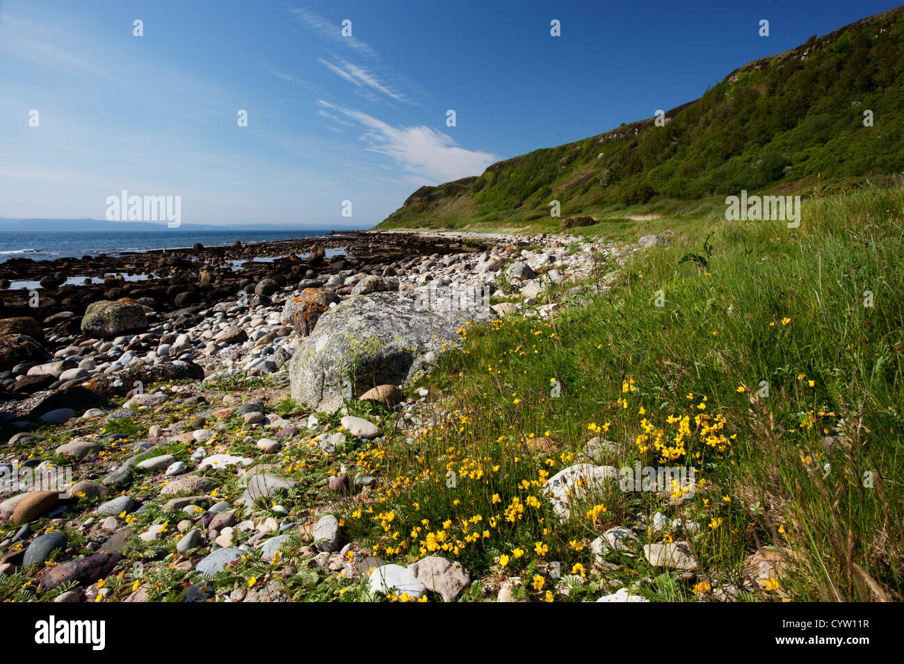 Blick entlang der Küste bei Drumadoon in der Nähe von Blackwaterfoot auf der Isle of Arran, Scotland, UK Stockfoto