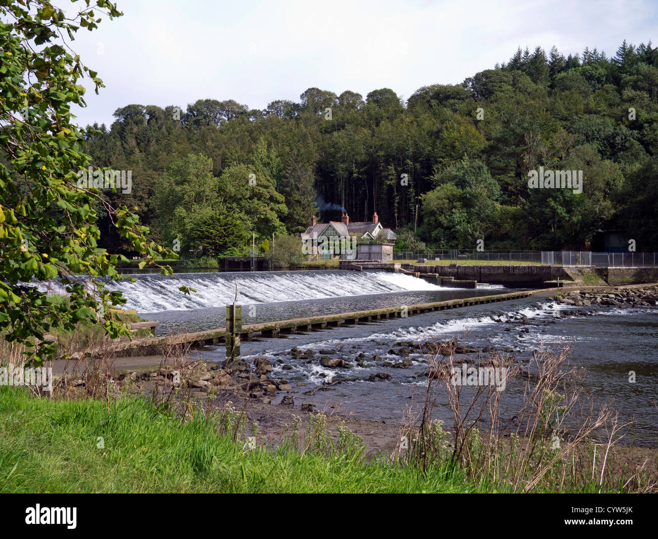 Lopwell Damm, Fluß Tavy, Devon. Stockfoto