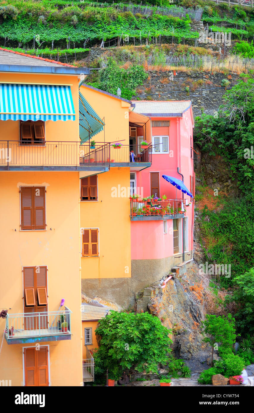 Bunten Berghäuser im italienischen Dorf Manarola (Cinque Terre, Italien) Stockfoto