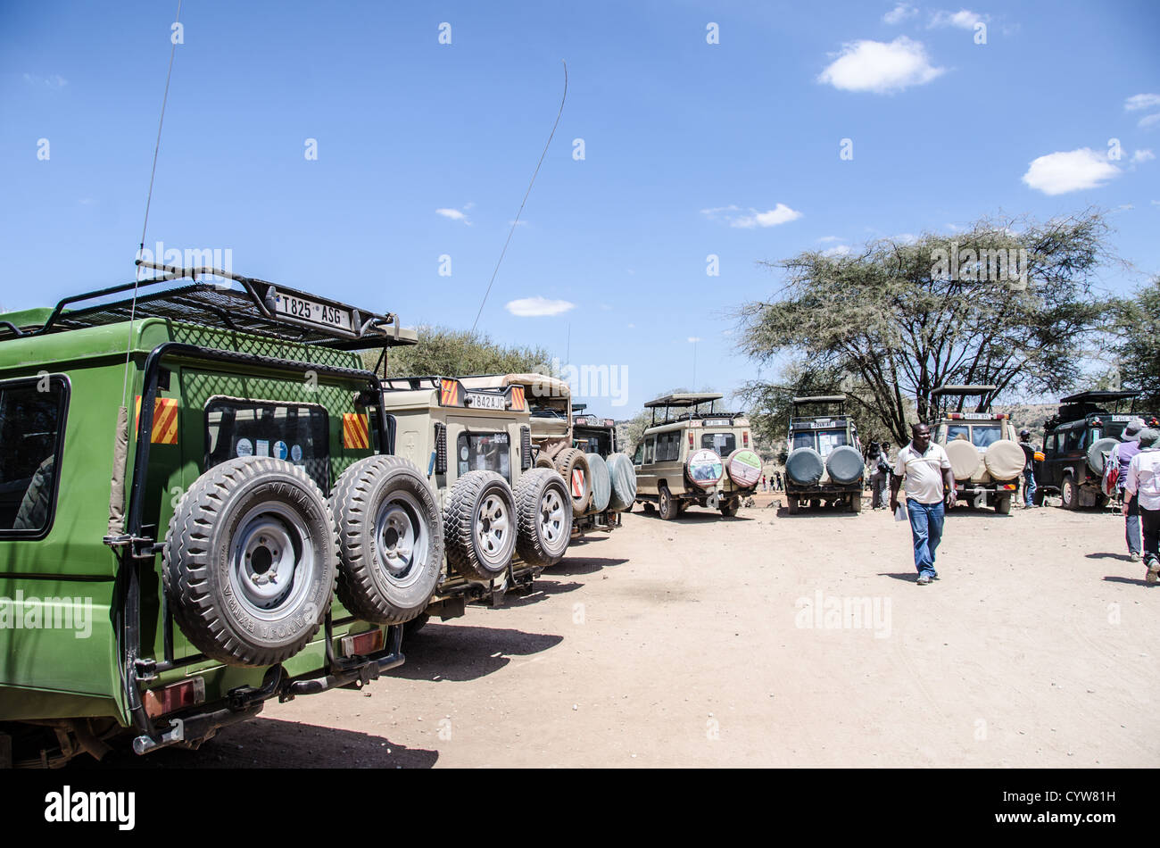 TARANGIRE-NATIONALPARK, Tansania - die allgegenwärtigen Toyota Landcruiser, die bevorzugt werden, da Safari-Fahrzeuge auf einem Parkplatz an einem ausgewiesenen Picknick-Platz im Tarangire-Nationalpark im Norden Tansanias stehen, nicht weit vom Ngorongoro-Krater und der Serengeti. Der Ngorongoro-Krater, der zum UNESCO-Weltkulturerbe gehört, ist ein riesiger vulkanischer Krater im Norden Tansanias. Sie wurde vor 2-3 Millionen Jahren gegründet, hat einen Durchmesser von etwa 20 Kilometern und ist die Heimat vielfältiger Tiere, einschließlich der „Big Five“-Wildtiere. Das Ngorongoro Conservation Area, das von den Maasai bewohnt wird, enthält ebenfalls einen bedeutenden Bogen Stockfoto