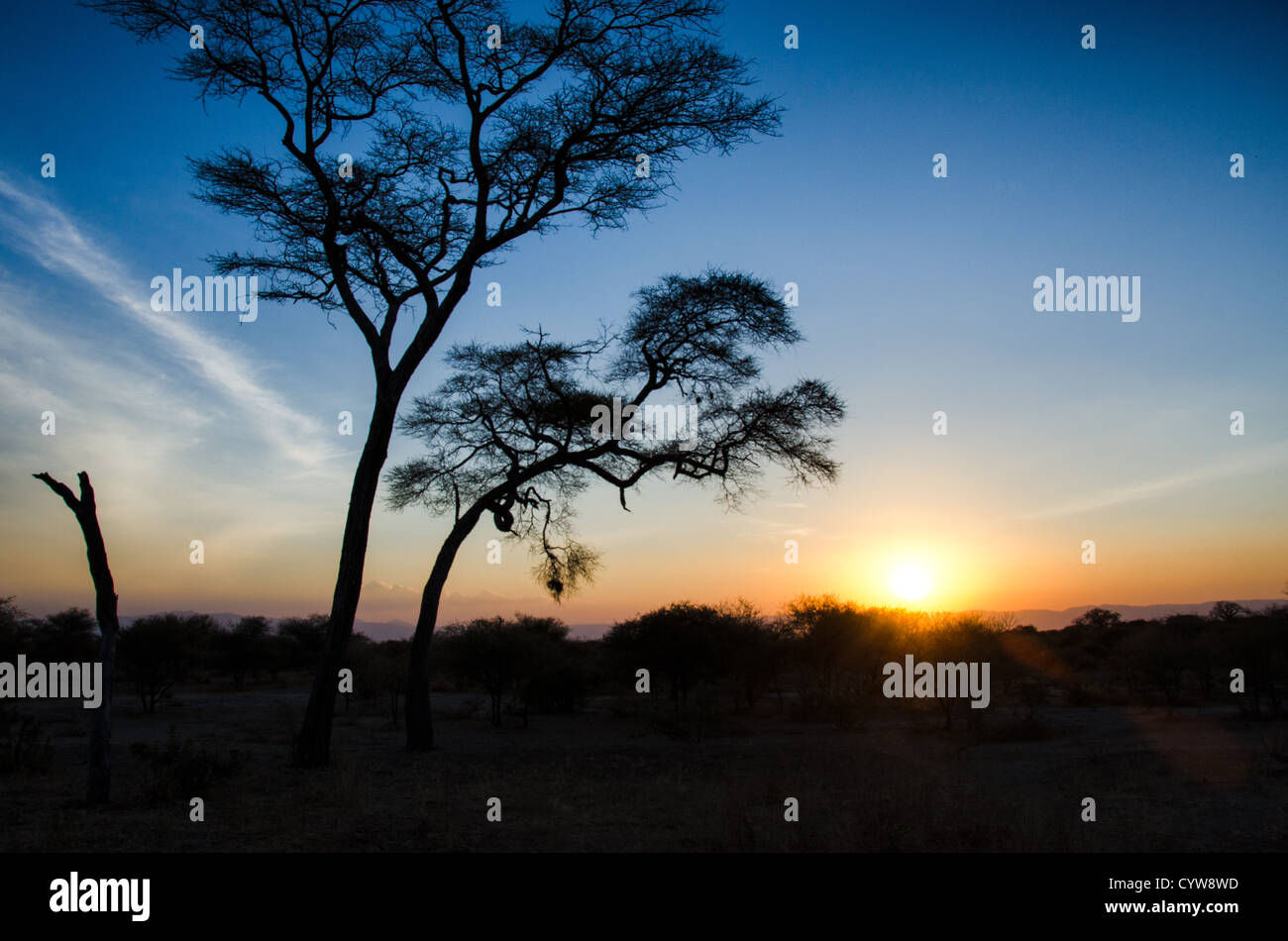 TARANGIRE-NATIONALPARK, Tansania – die Sonne verschwindet hinter dem Horizont im Tarangire-Nationalpark im Norden Tansanias, nicht weit vom Ngorongoro-Krater und der Serengeti. Stockfoto