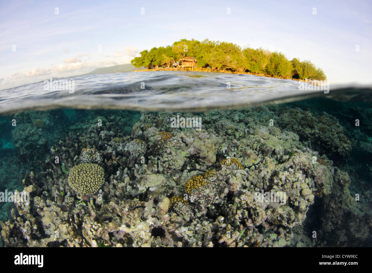 Split-Bild von Black Coral Island und Coral Reef, Pohnpei, Föderierte Staaten von Mikronesien Stockfoto