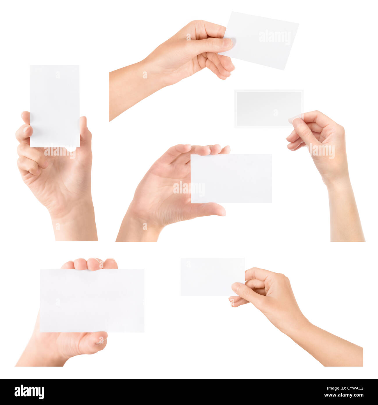 Weibliche Hand leer transparent Visitenkarte in der Hand halten. Sammlungssatz. Isoliert auf weiss. Stockfoto
