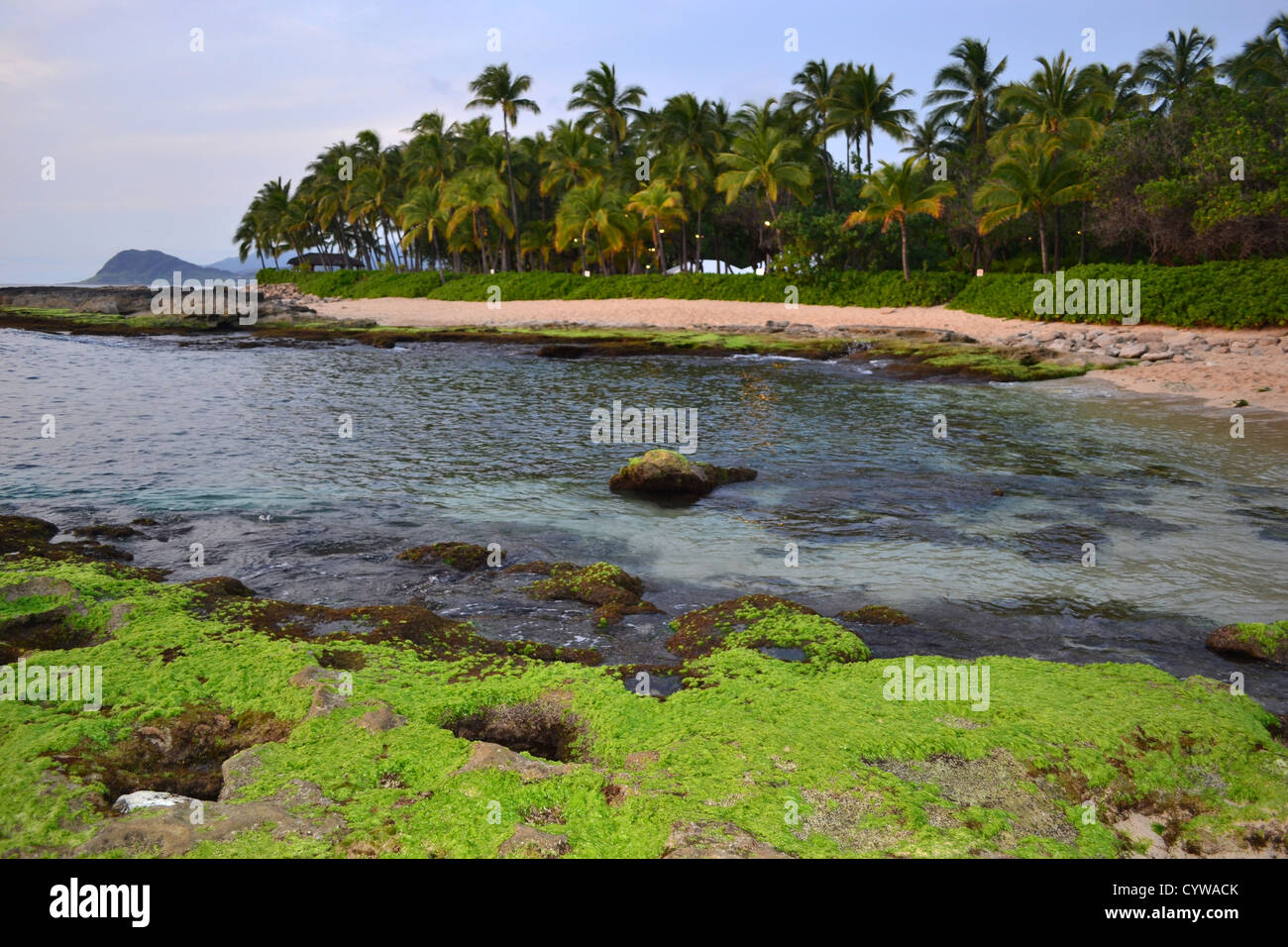 Ko'Olina Strand, Westseite der Insel Oahu, Hawaii, USA Stockfoto