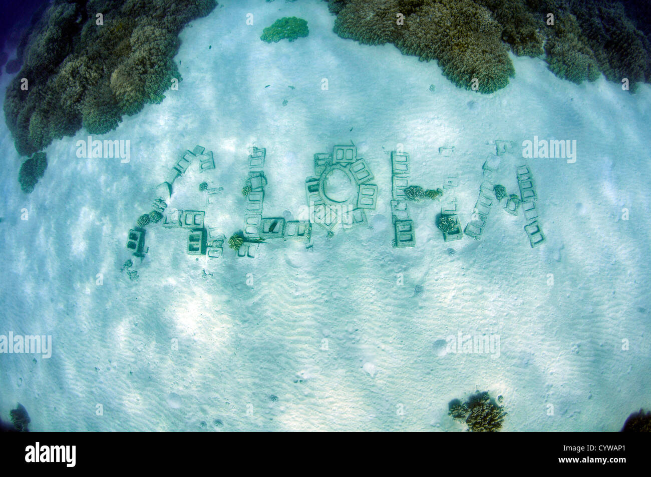 Unterwasser Aloha Denkmal angesehen von Oberfläche im Honaunau Coral Reef, Big Island, Hawaii, USA Stockfoto