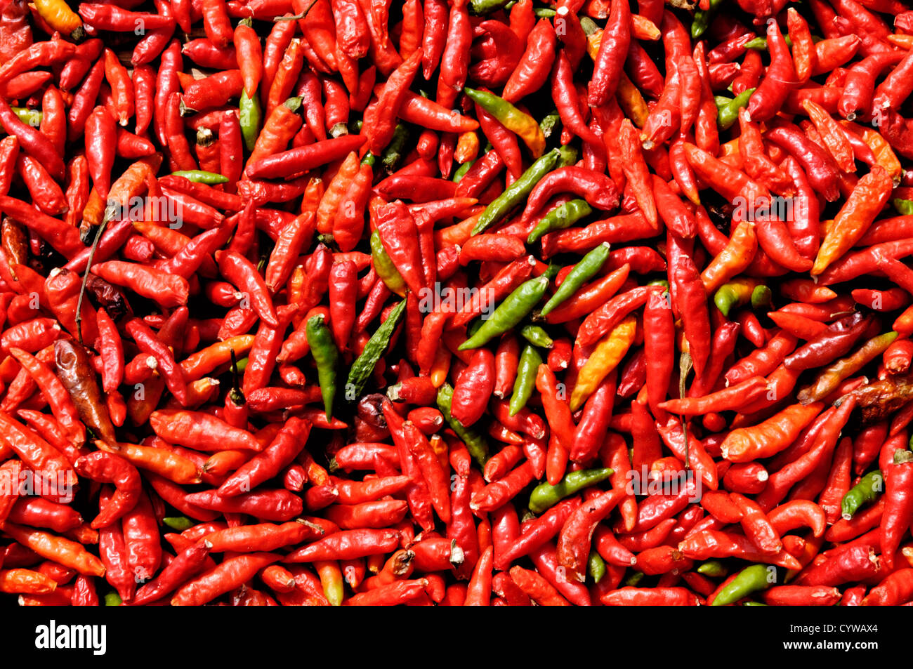 Bekannt als "Lao Garnelen", werden rote Chilis in der Sonne trocknen gelassen. Provinz Luang Namtha, Laos. Stockfoto
