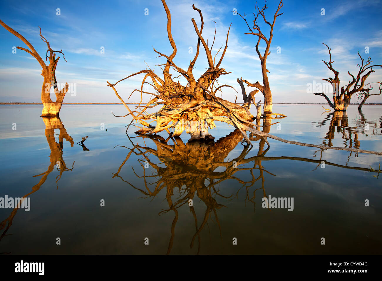 Bonney Lake Riverland Südaustralien Stockfoto