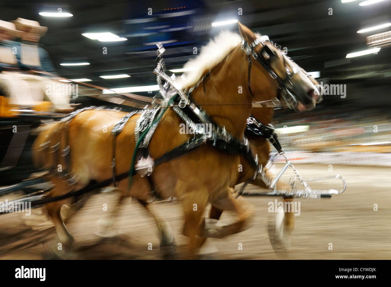EINE indoor geharnischten Pferd und Trap-Show in Québec (Stadt) Stockfoto