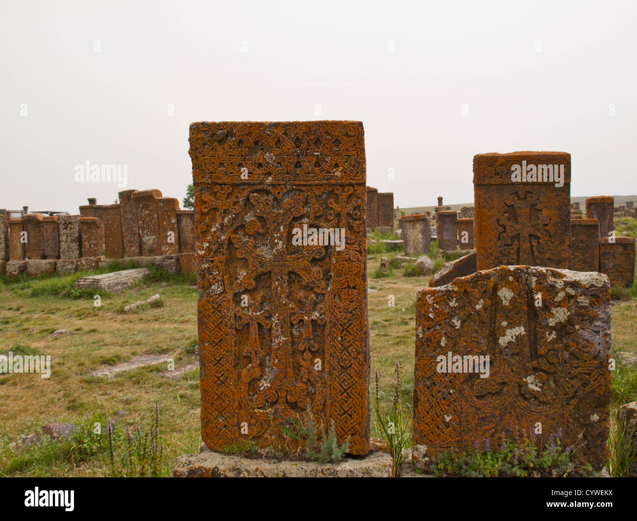 Khatchkar (Kreuz-Stein) Feld in Noratus Stockfoto