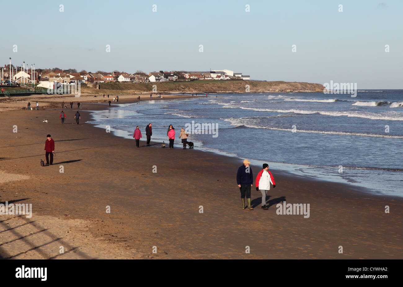 Menschen gehen mit Hunden Seaburn Strand Sunderland mit Nordsee in Hintergrund-Nord-Ost England UK Stockfoto