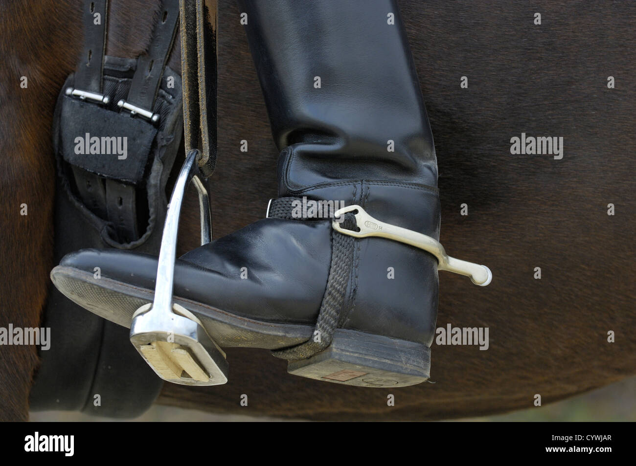 Stiefel mit sporen -Fotos und -Bildmaterial in hoher Auflösung – Alamy