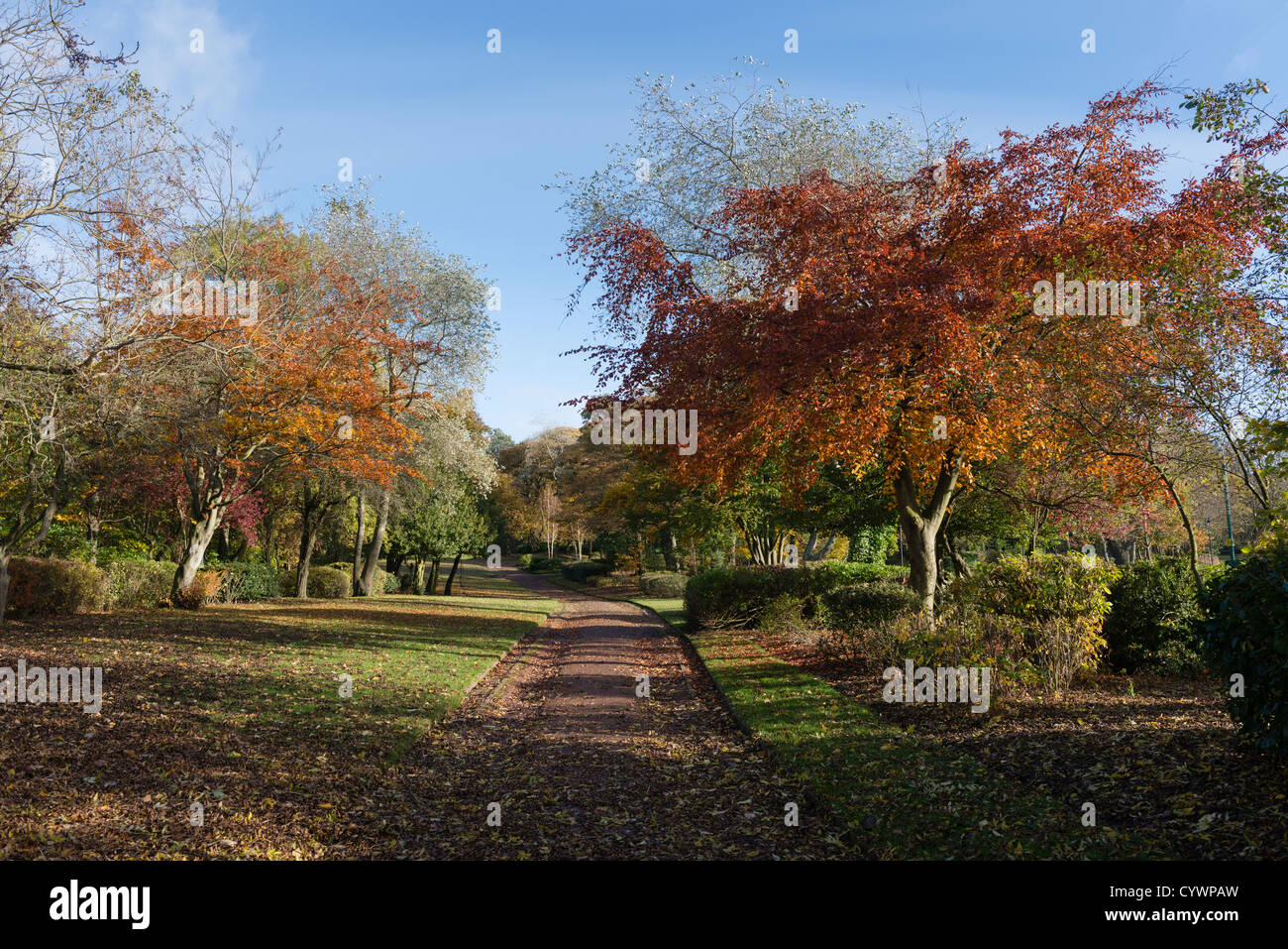 Blackhall und Consett Park im Herbst Stockfoto
