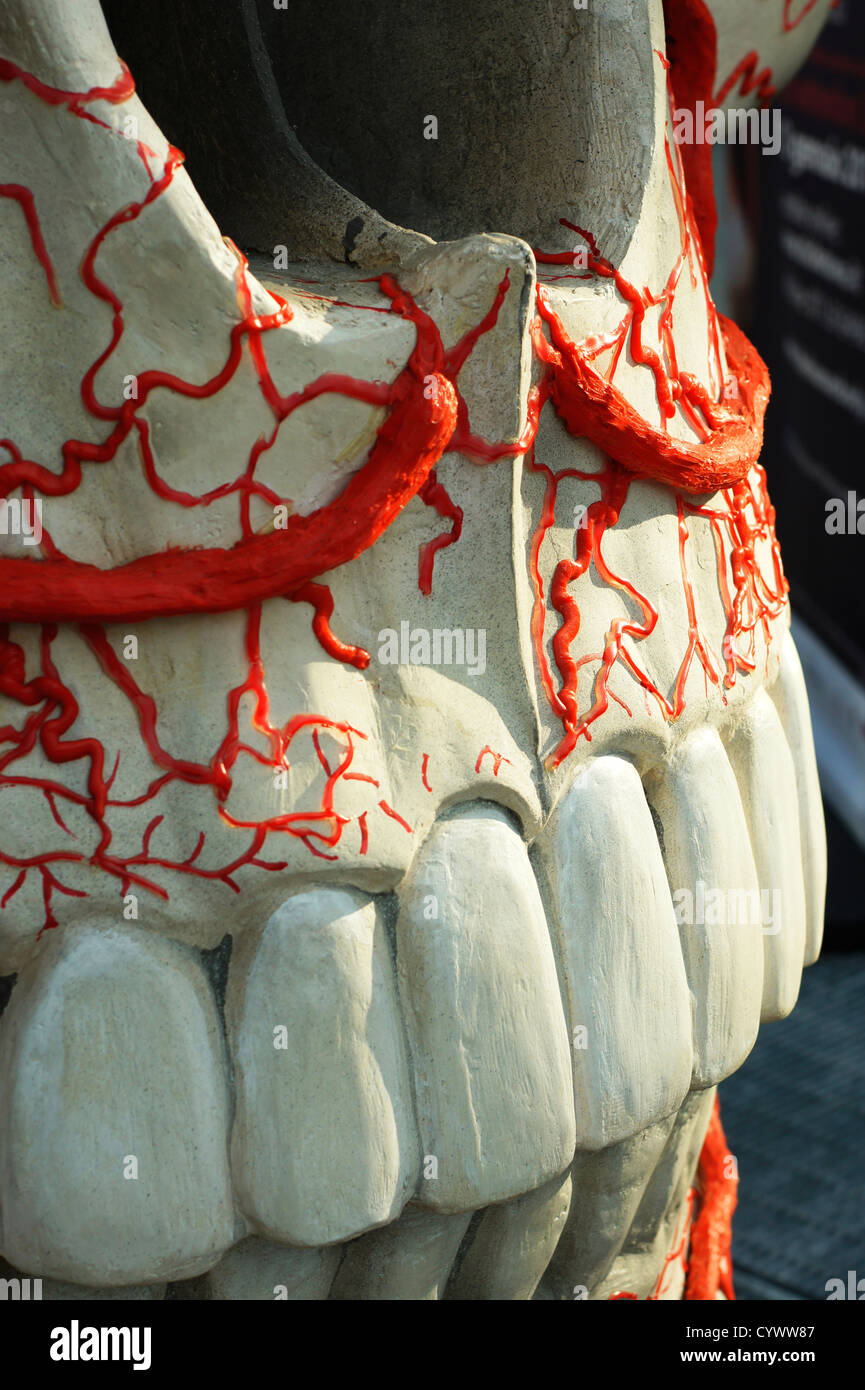 Skulptur-Details der "Menschlichen Körper" Show in Turin, Italien Stockfoto