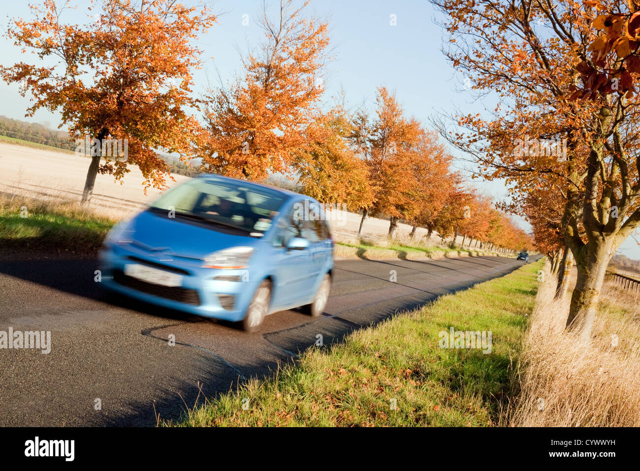 Ein blaues Auto fahren auf ein Land Straßen Straßen im Herbst, Cambridgeshire UK Stockfoto
