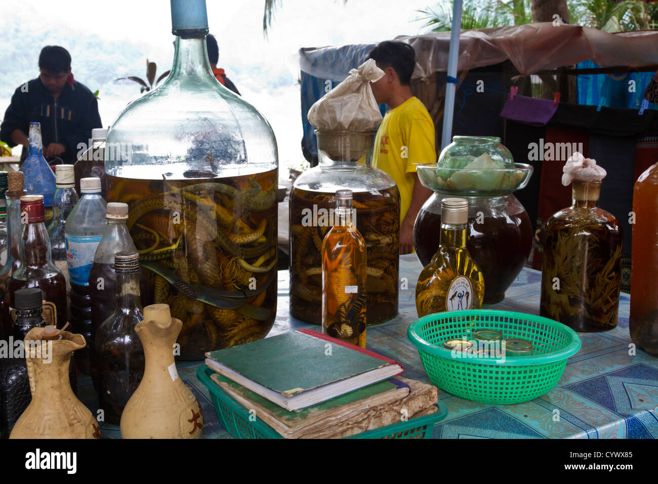 Eingelegte Schlangen, Eidechsen, Tausendfüßler, Skorpione und Pflanzen in der Regel im Reis-Whisky. Stockfoto