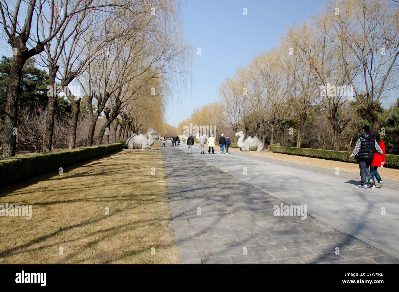 China, Peking. Changling Heiligen Weg (aka Ming-Gräber, Gott Street, The Shendao, Shianling). Stockfoto