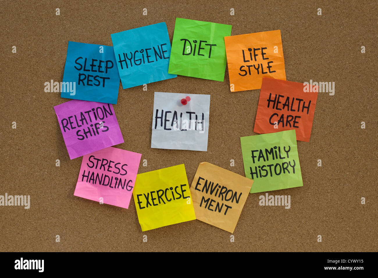 Gesundheitskonzept - Wortwolke oder Kreis von Faktoren-Ernährung, Lebensstil, Umwelt, Gesundheitswesen, Familiengeschichte Stockfoto
