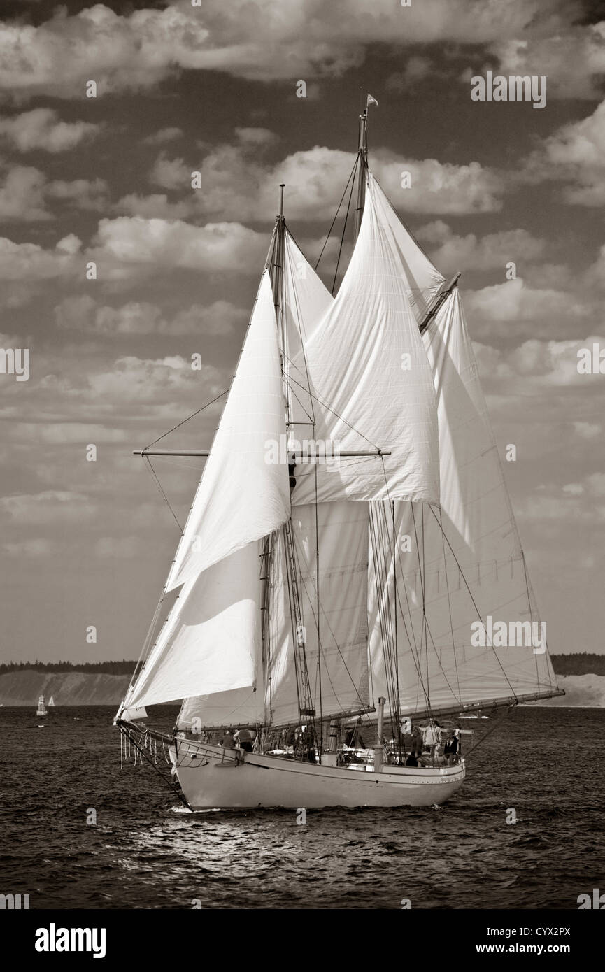 Ein Schoner Segelboot Teilnahme an Port Townsend, Gewässer Washington Wooden Boat Festival unter vollen Segeln am Puget Sound. Stockfoto