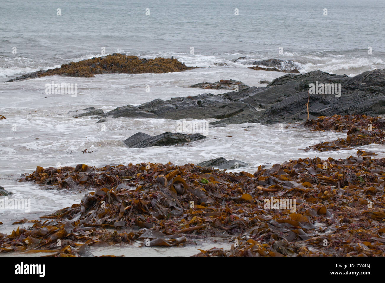 Einlaufenden Wellen am Strand, Isle of Iona, Inneren Hebriden, SW Schottland. Wrack Algen Meer Unkraut von Flut angespült. Westküste Iona. Stockfoto