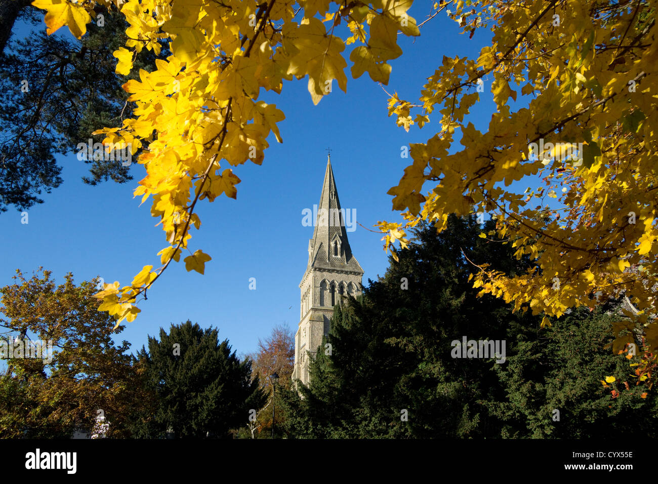 Heilige Dreifaltigkeit Kirche Halstead Essex England Stockfoto