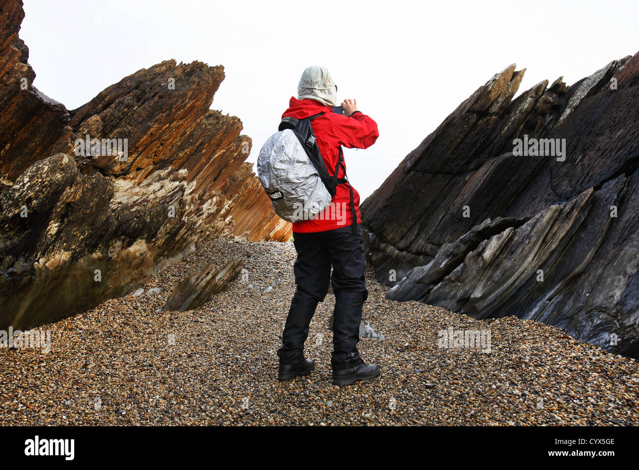 Buschwanderer an der Tarkine Küste. North West Tasmanien, Australien. Stockfoto